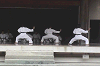 ise4 (125)_samu.gif